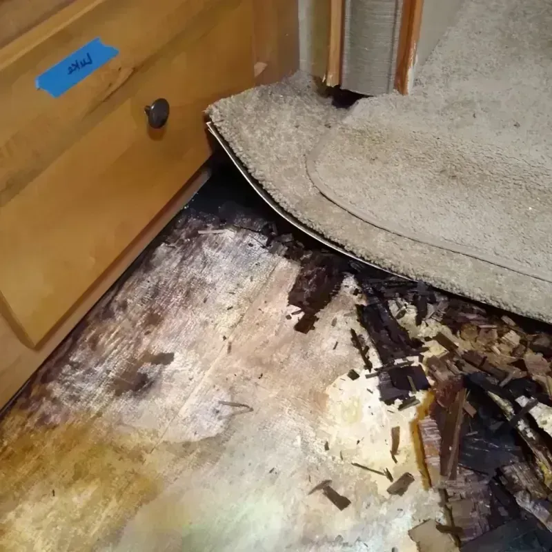 Best Wood Floor Water Damage Service in Huntsville, MO